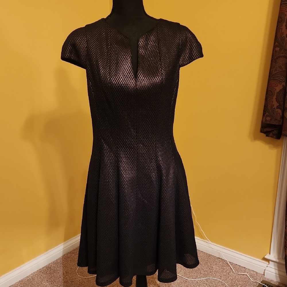 Julia Jordan Gold and Black Fit and Flare Mini Dress